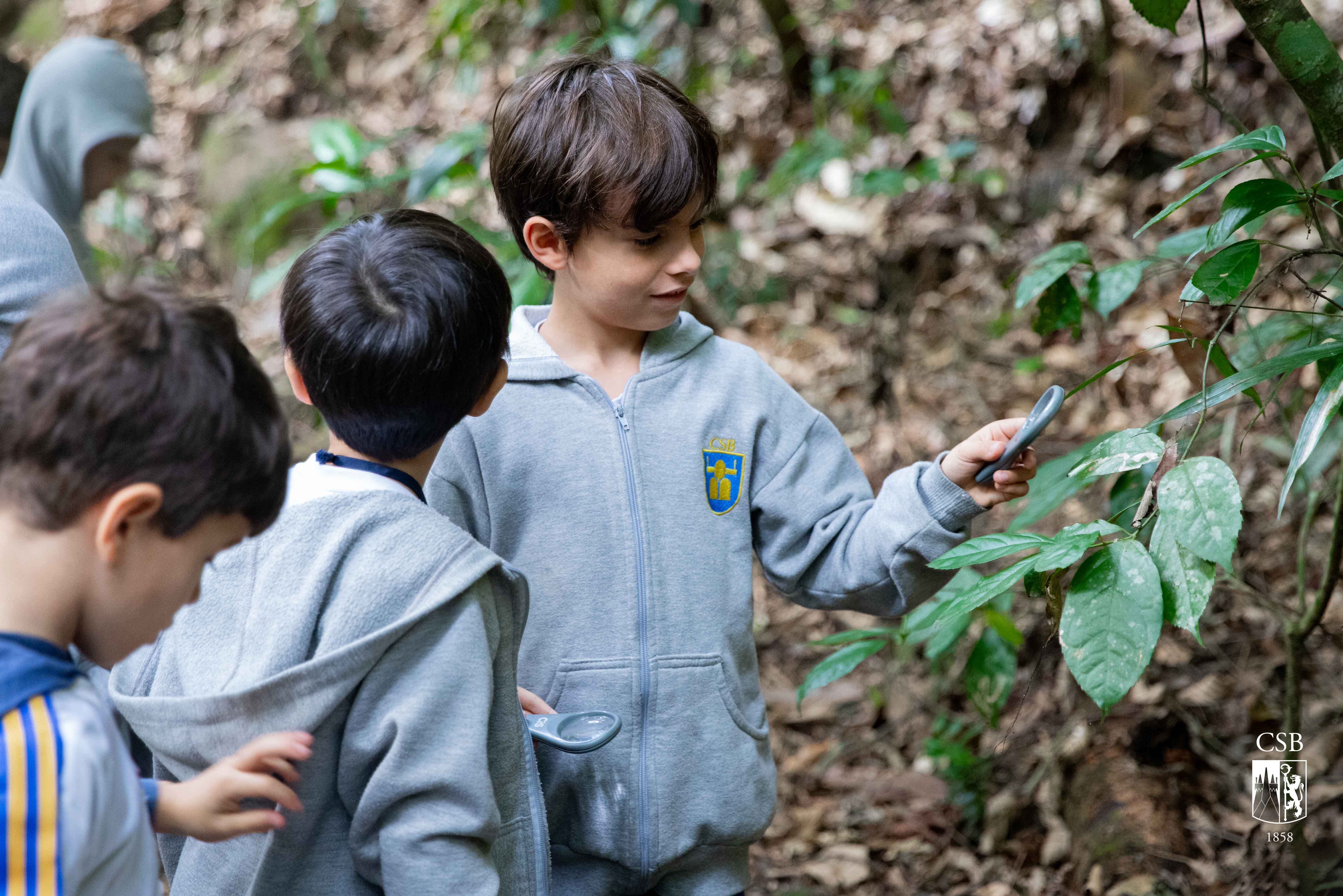 2º ano EF visita Parque Nacional da Tijuca