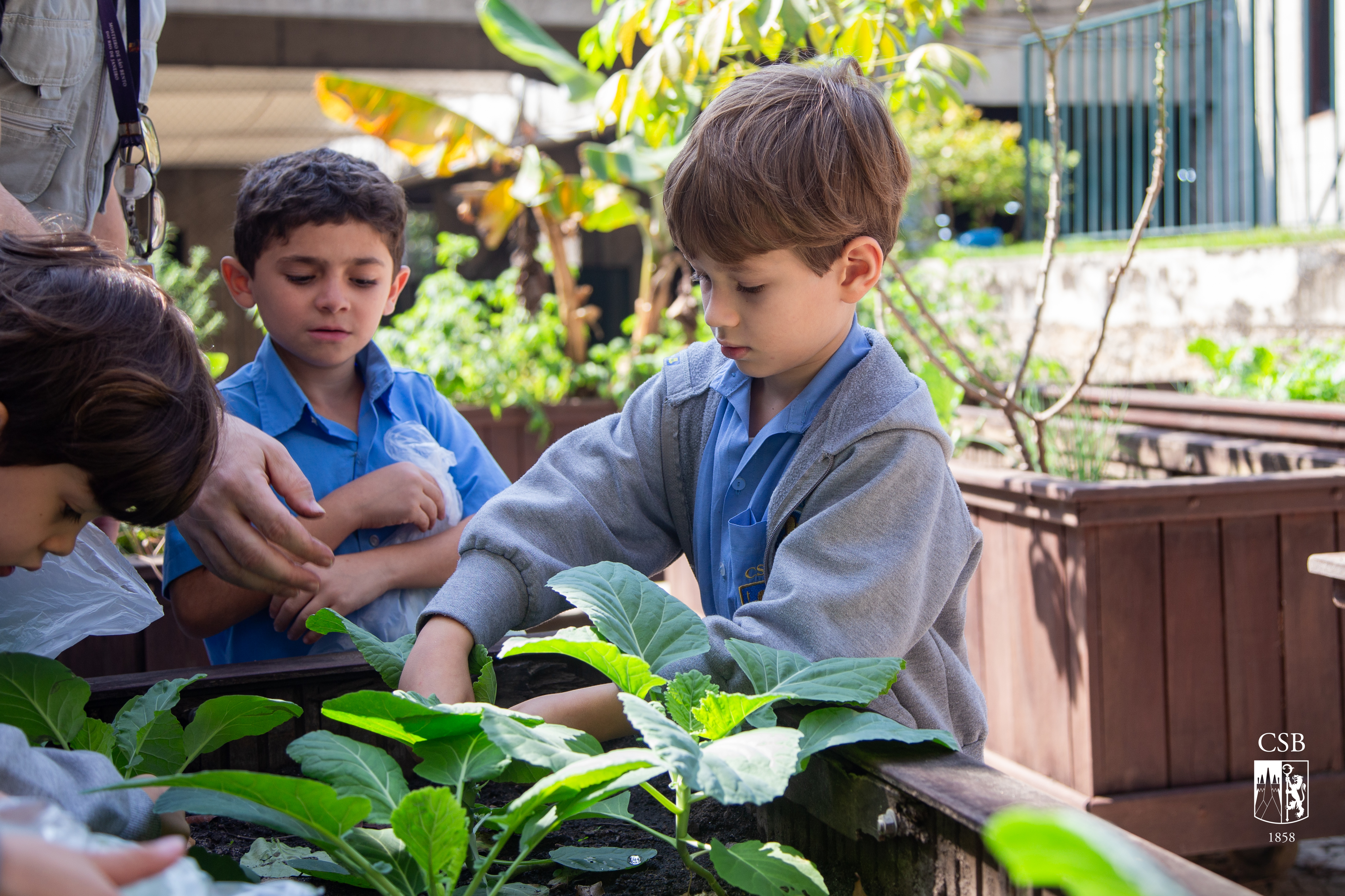 1º ano EF realiza atividade na horta do Colégio